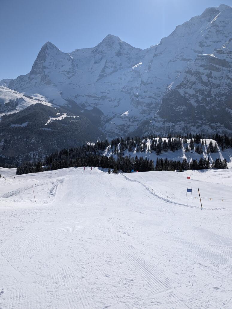 Swiss Skyline, Piste solala