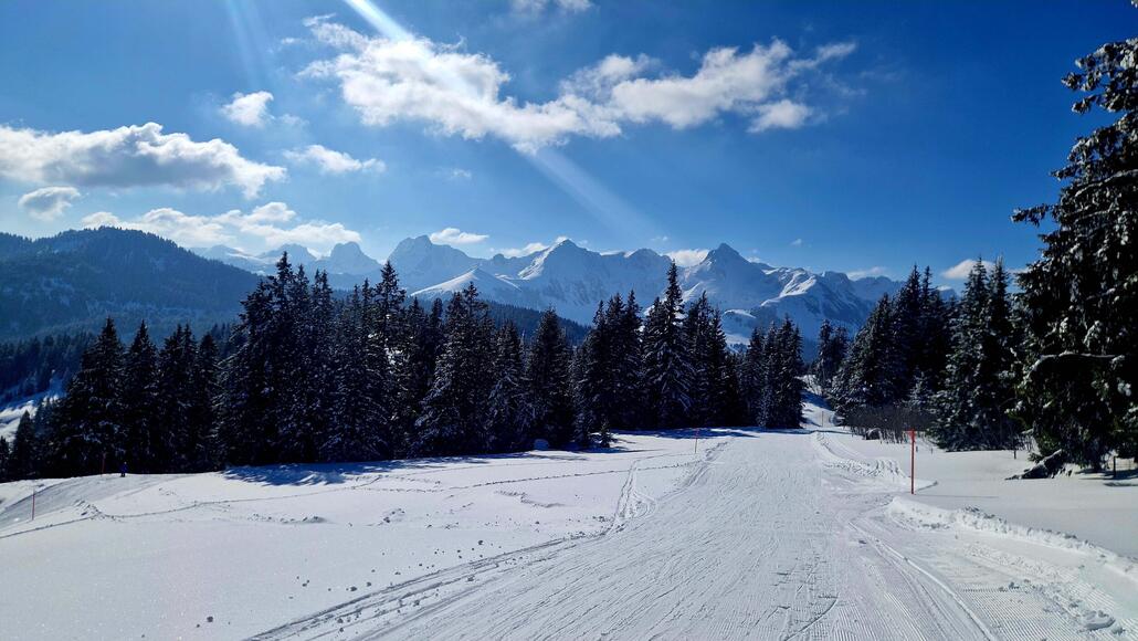 oben am Gägger, Blick Richtung Gantrisch-Kette
