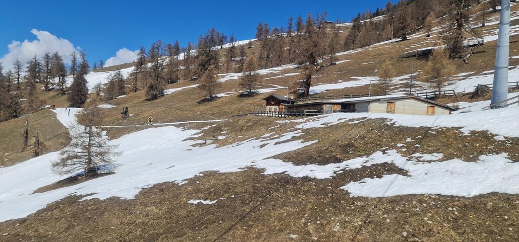 Die Murmeln oder hier Marmot feiern Frühjahrsparty