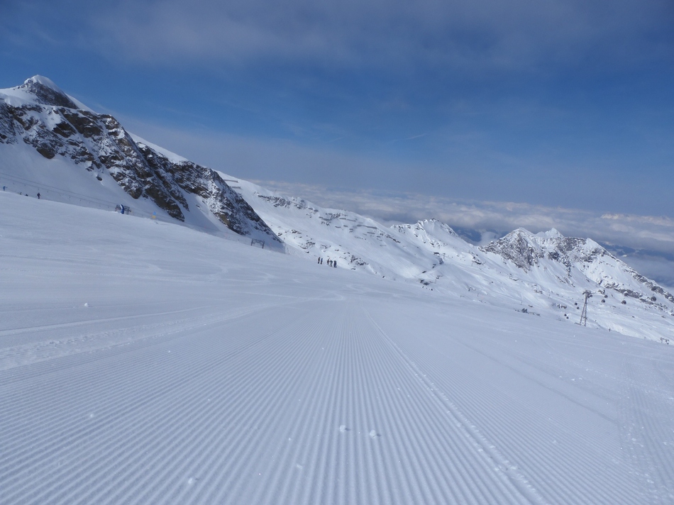 um 13:30 Uhr finde ich sogar noch abschnittsweise frische Raupenspuren.