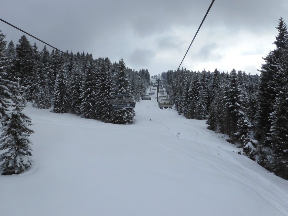 Nach einer Fahrt mit dem G-Link sitze ich im Grafenbergexpress 2