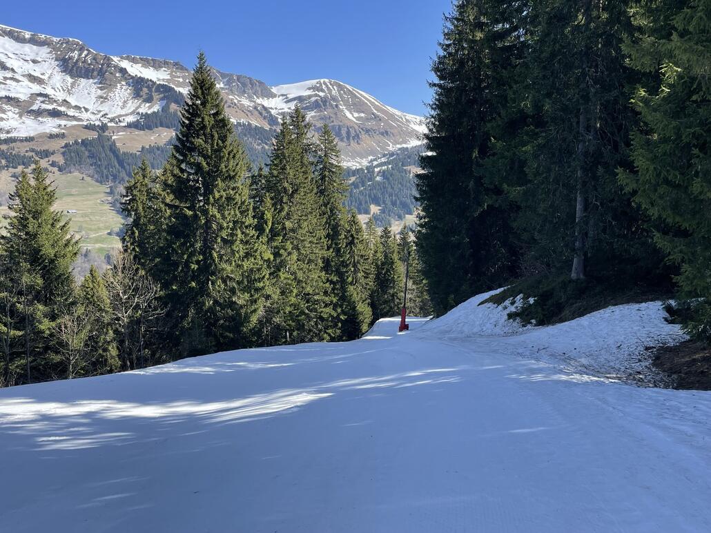 Talabfahrt nordseitig nach les Diablerets noch schön hart.