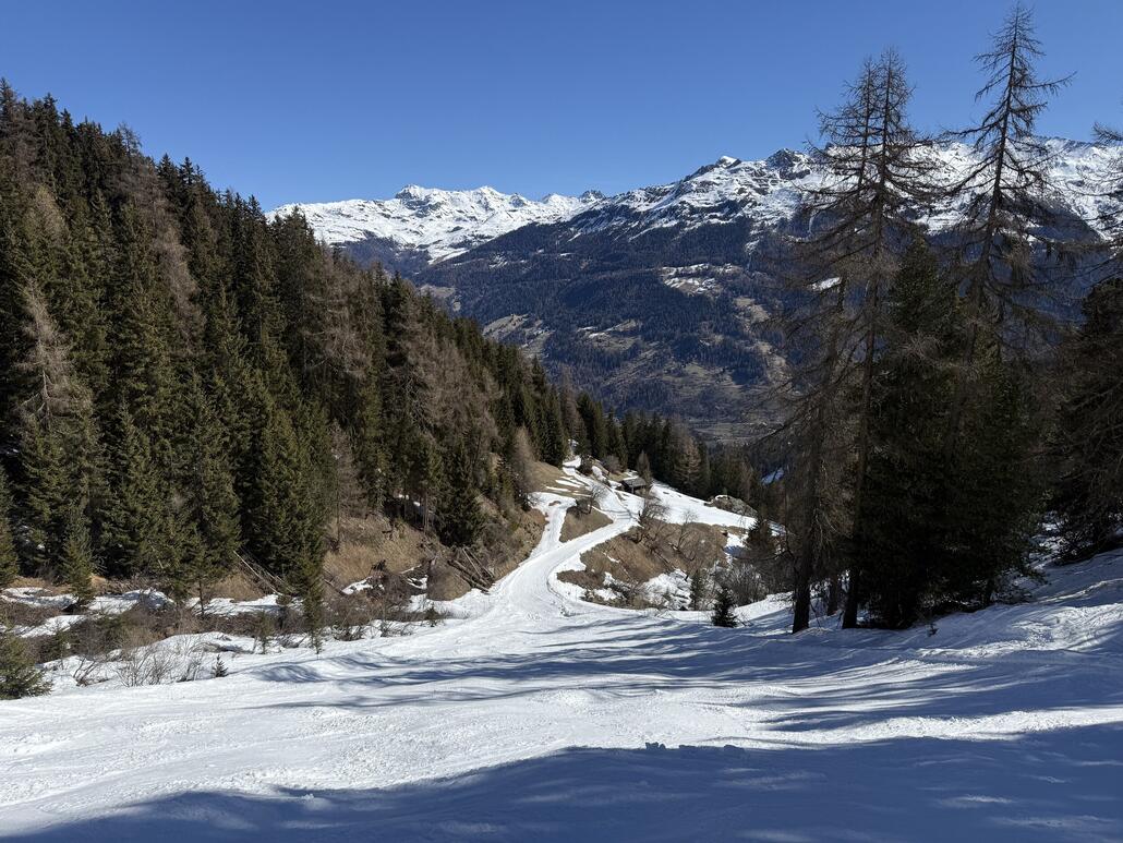 Und nach eine ordentliche Buckelabfahrt endet der Piste in einem Ziehweg...