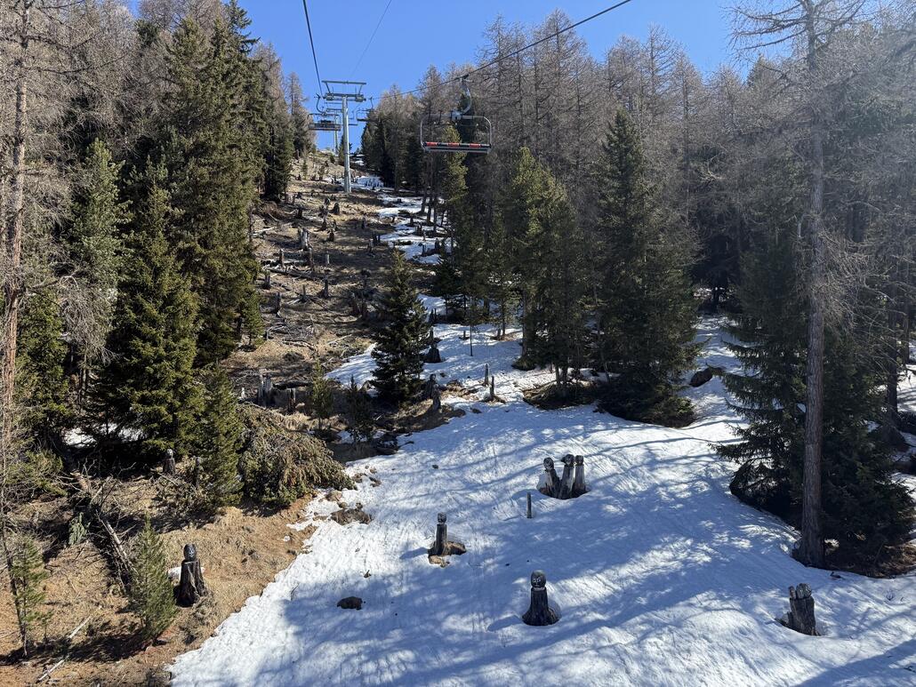 Frühlingsgefühle in der 6-KSB «La Foret»