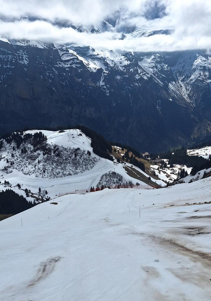 Kanonenrohr war tatsächlich noch offen,etwas weich aber noch einigermassen gut