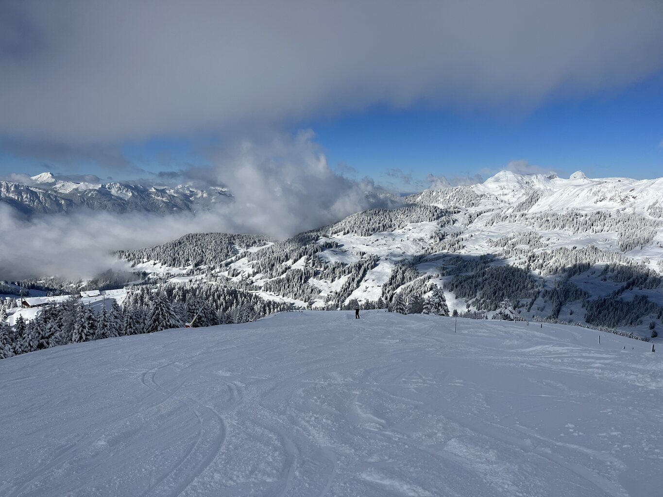 Gryon - Sodoleuvre bleue