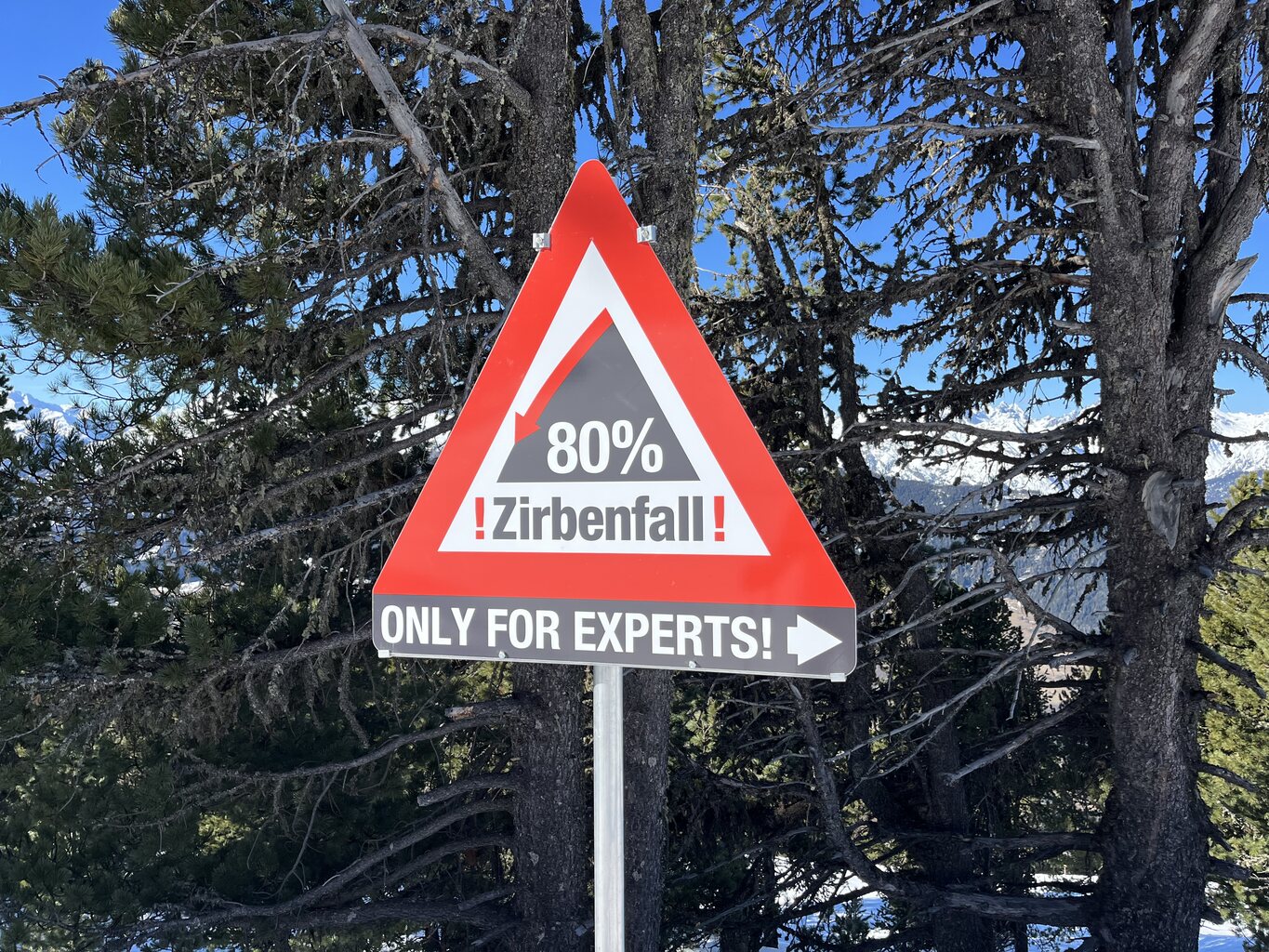 Das ist wohl ein Witz?