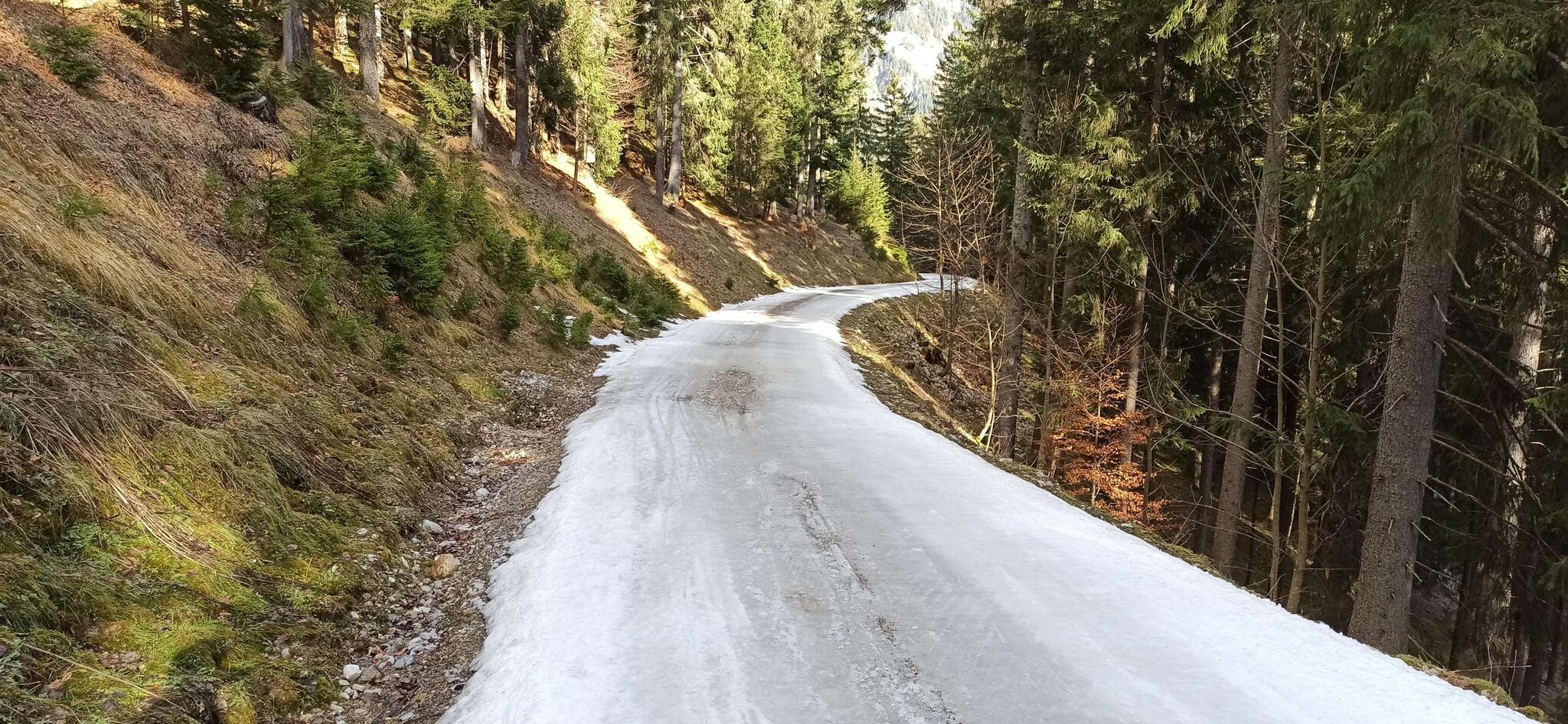 In der Mitte Kiesel :-/