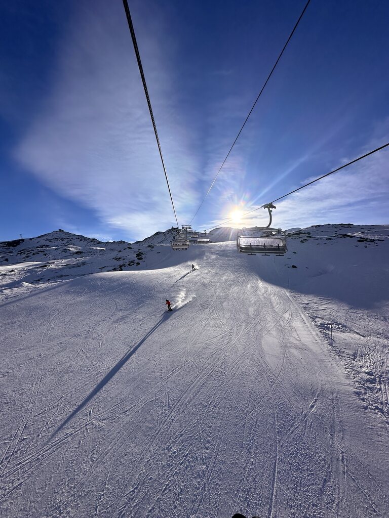 Gifthittli am morgen