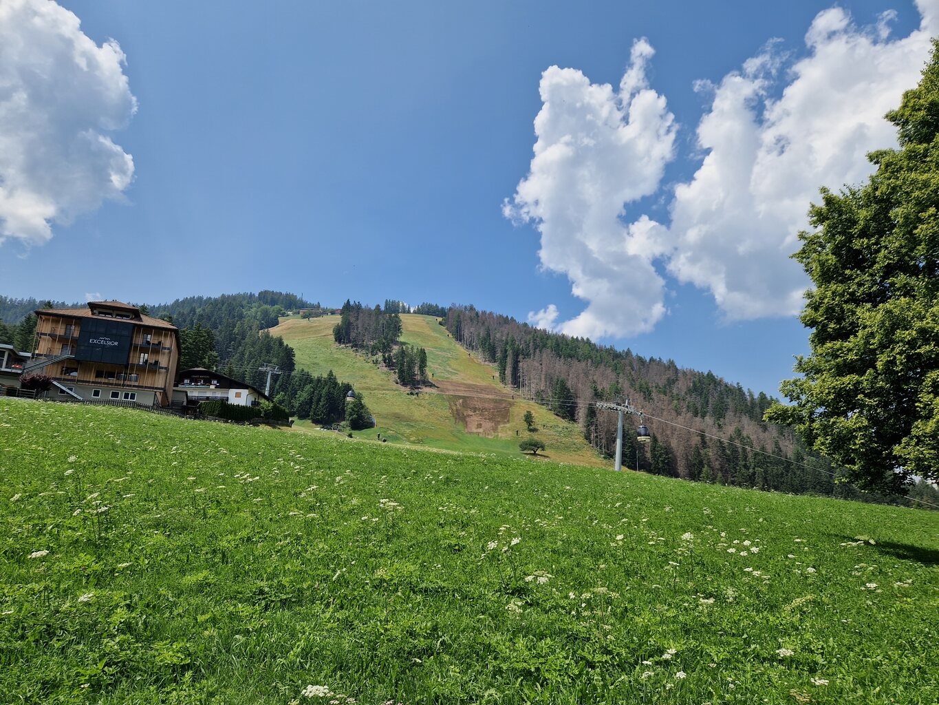 Auf dem Weg zur Zipline