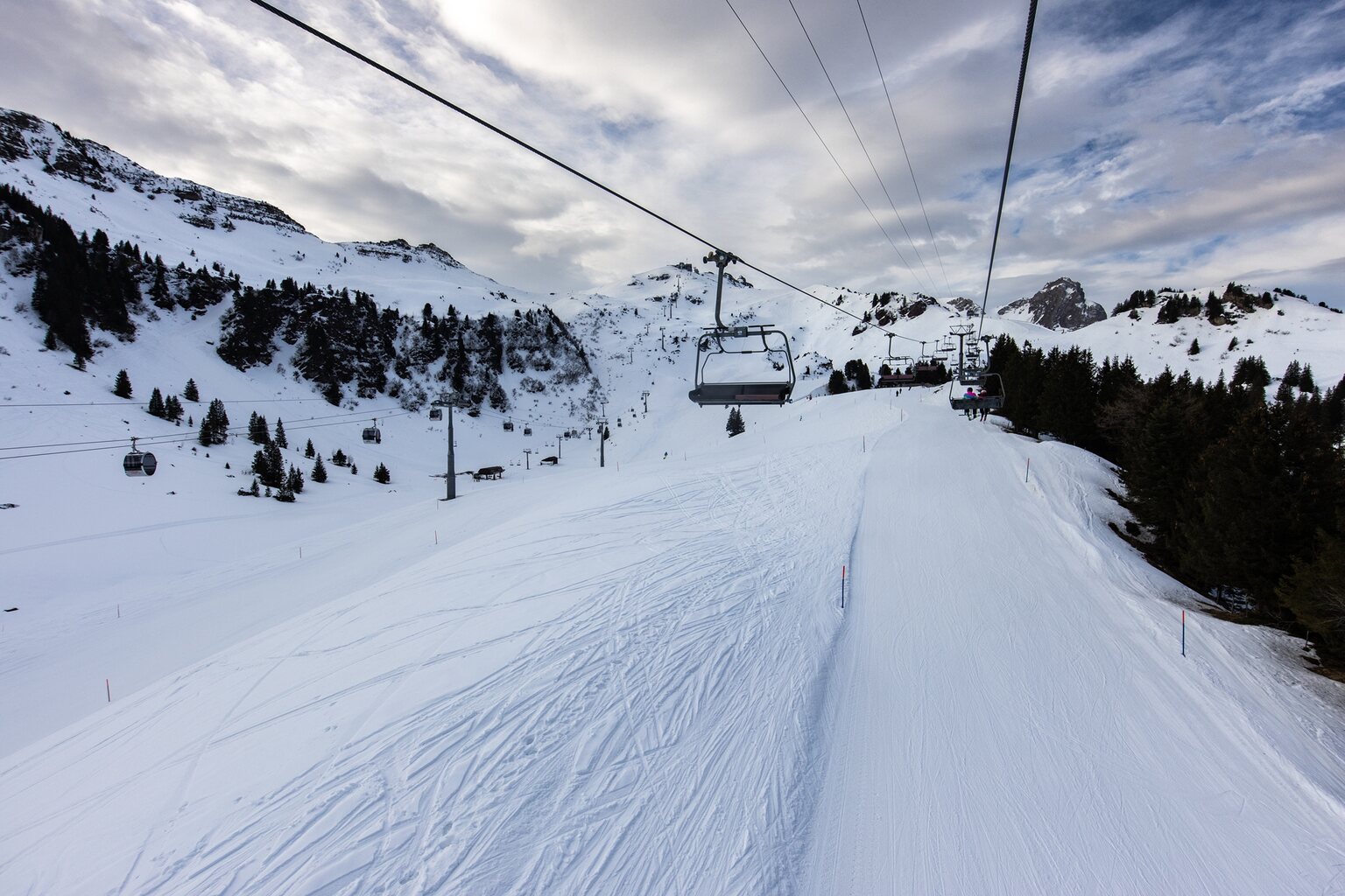 Weiter geht es im Bereich Tannenboden mit der Stelli.