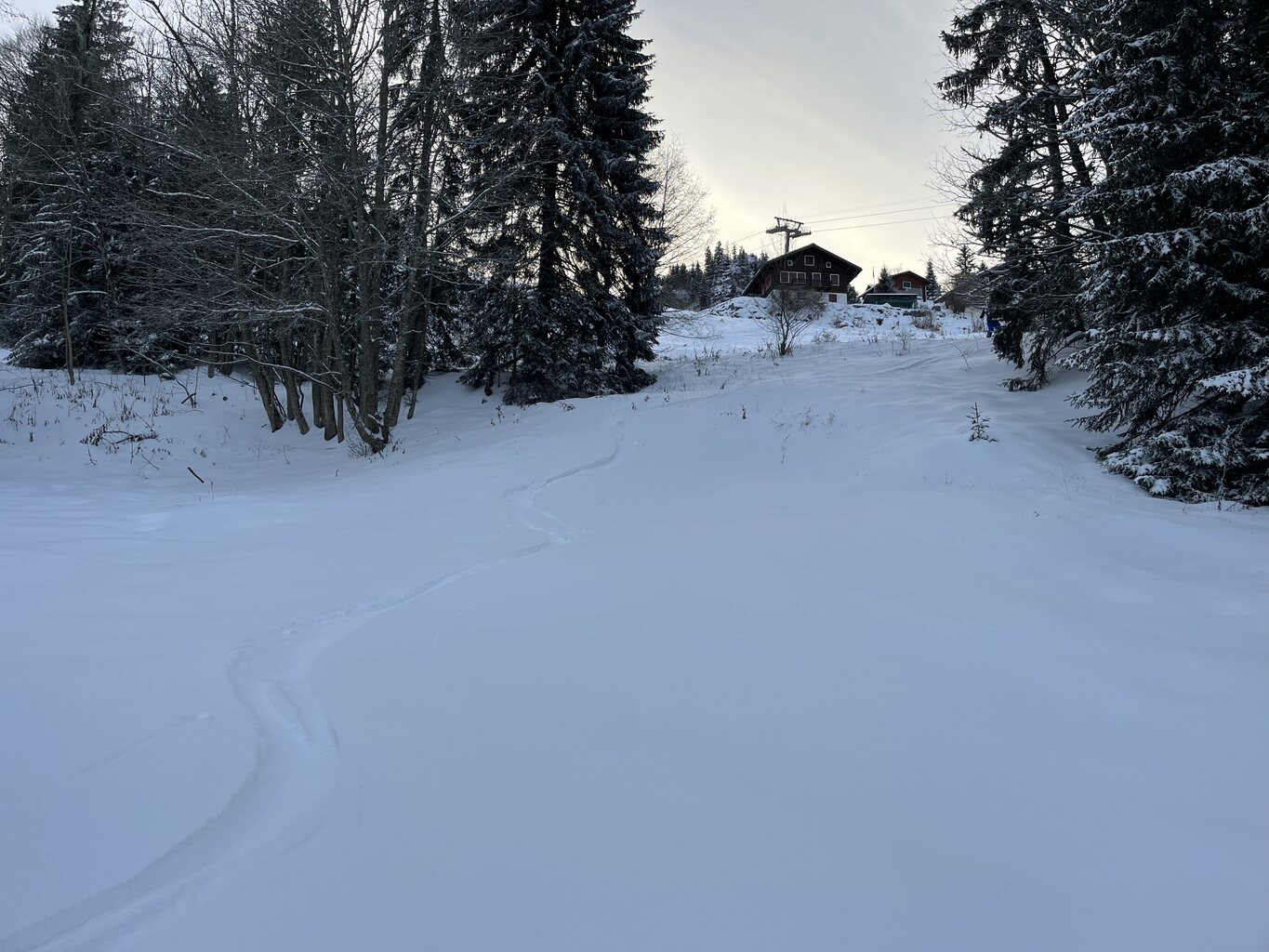 2023-11-29 16.19.30.jpg