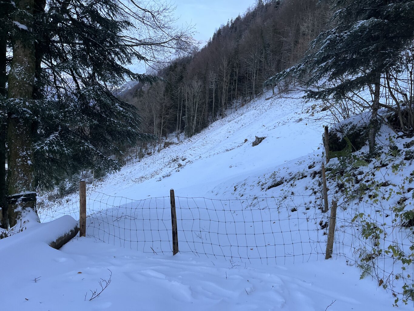 2023-11-29 16.34.17.jpg