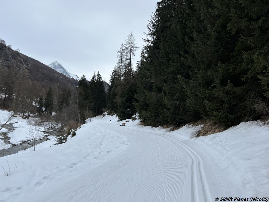 Zwischen Evolène und La Tour (linkes Ufer)
