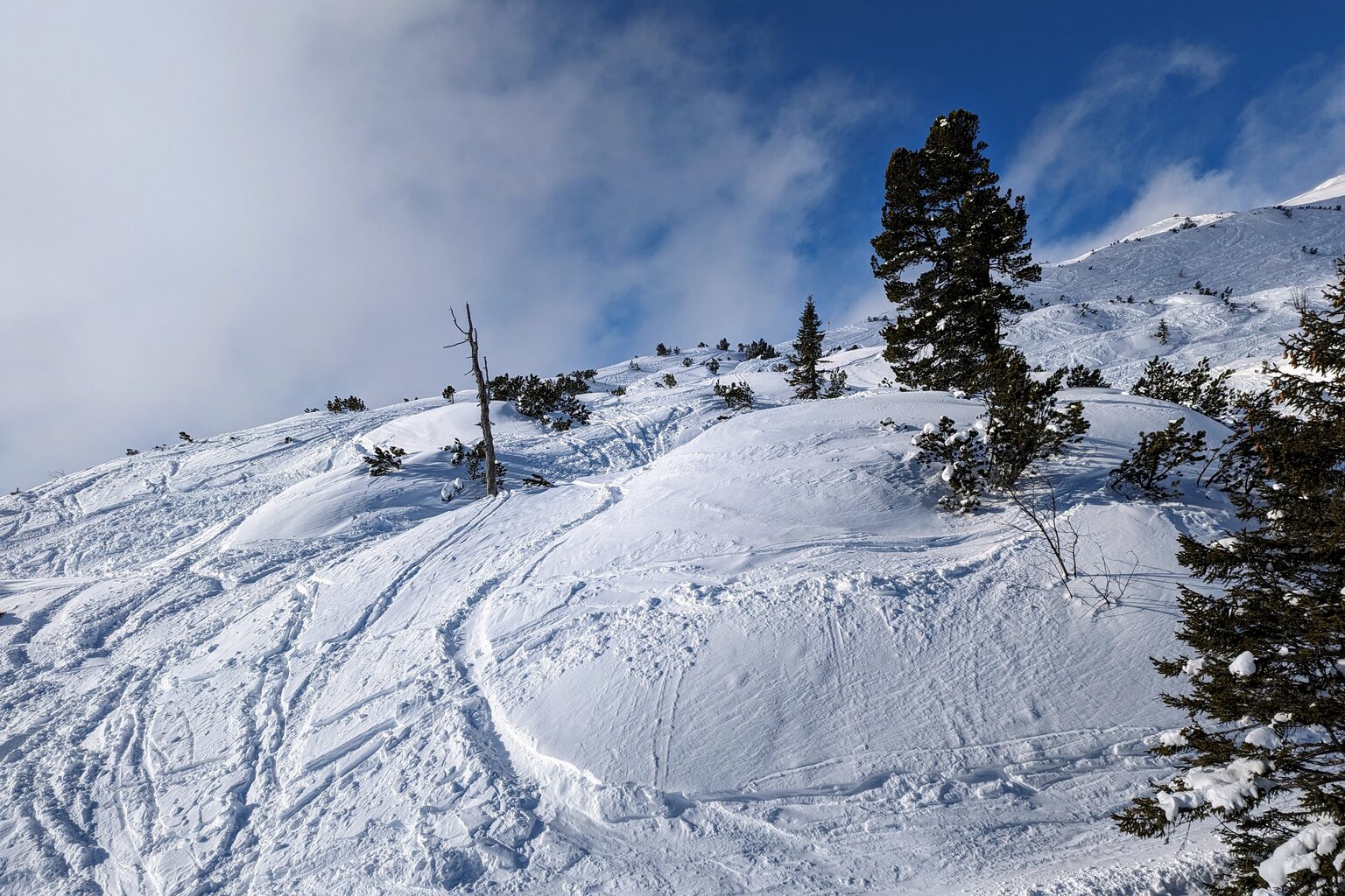 Auch abseits der Piste überall viel Schnee, und überall die Möglichkeit, off-Piste zu fahren. Hier im Latschen-Bereich beim Gamsjet, aber auch oben beim Grubig I oder weiter unten im Wald rund um die Wald-Abfahrt ging das.