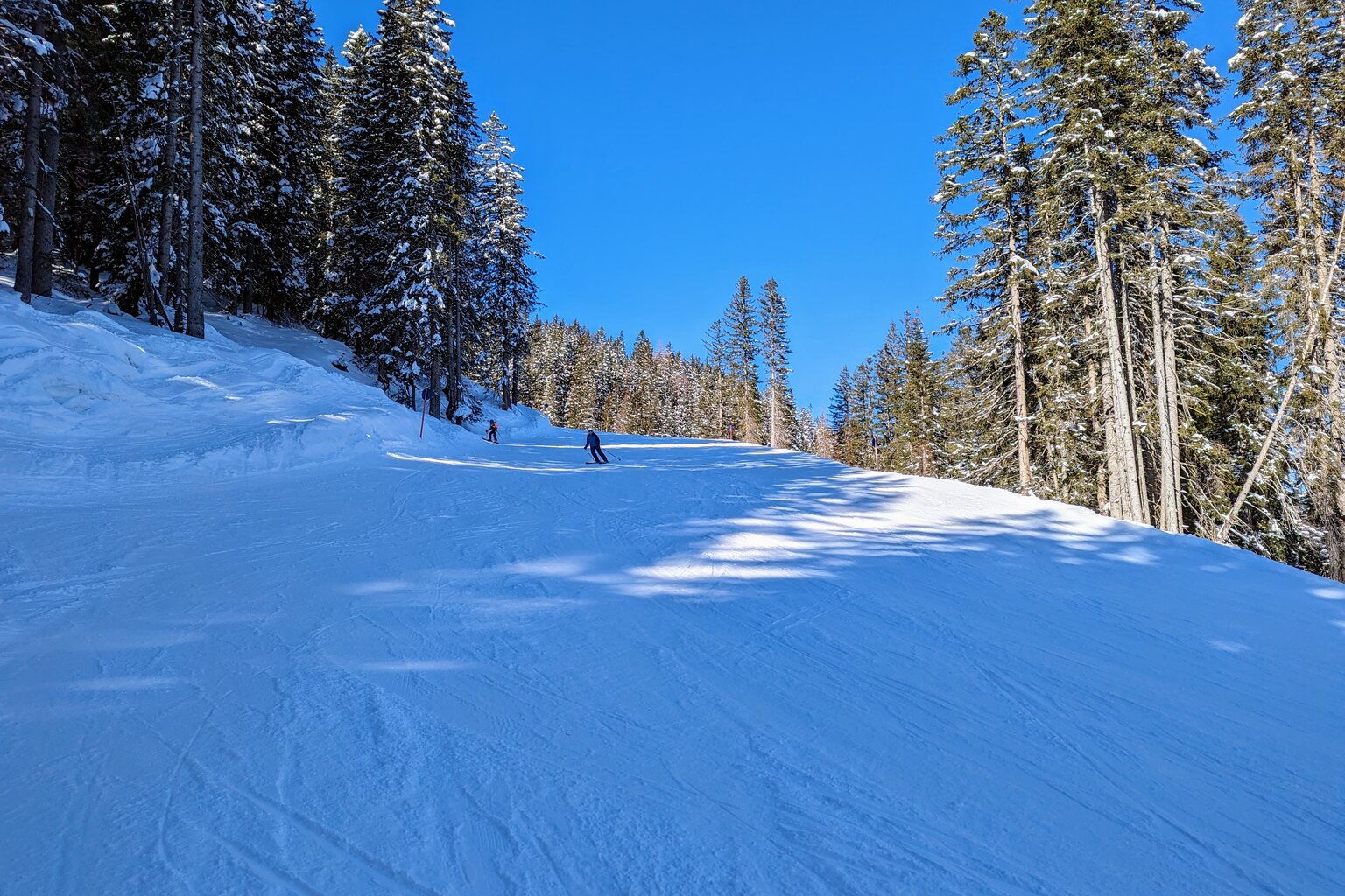 Der untere Teil der schönen Waldabfahrt.