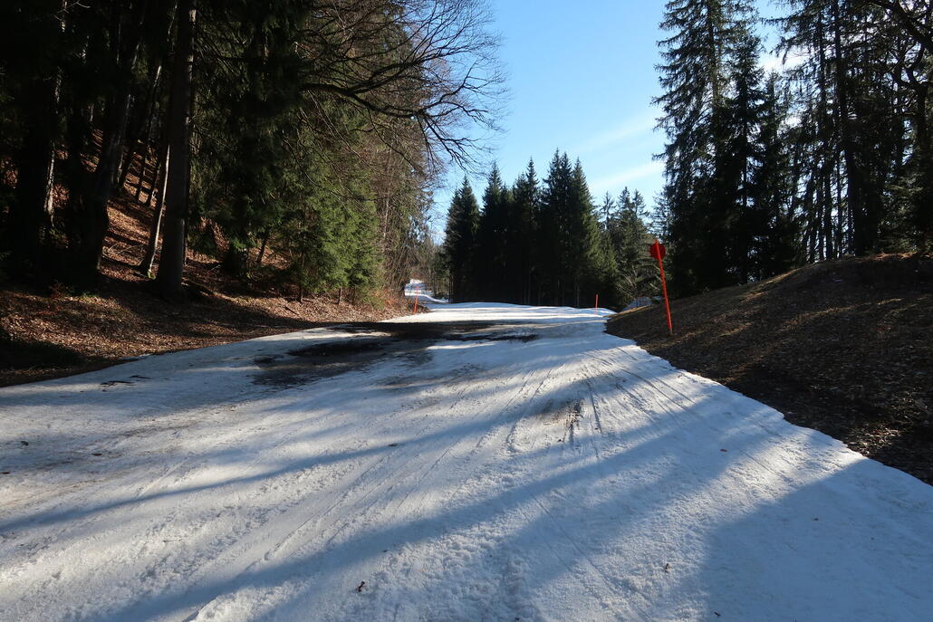 Nach dem ersten Hang der erste schneefreie Fleck