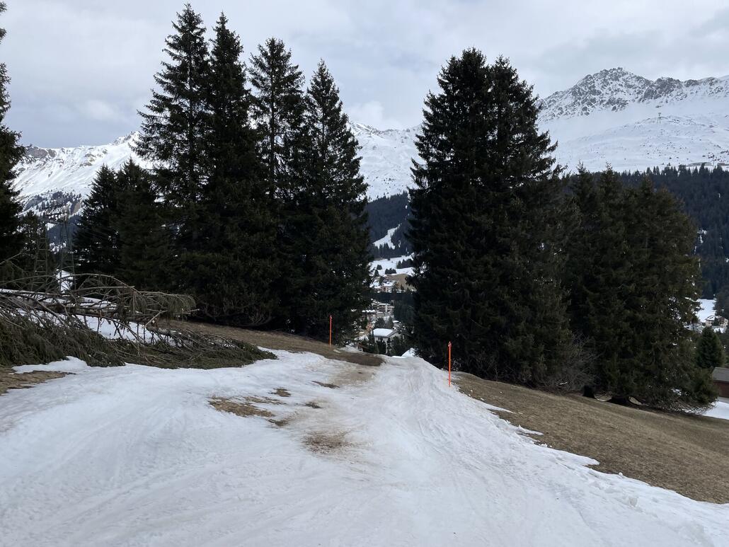 IMG_4559.jpeg (409.49 KiB) 5859 mal betrachtet Auf der Talabfahrt nach Valbella wurde der Schnee knapp.