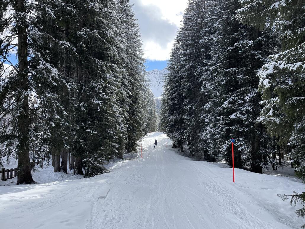 IMG_4548.jpeg (649.12 KiB) 5858 mal betrachtet Einmal pro Saison gehts auf die 11h. Irgendwie gefällt mir diese Abfahrt durch den Wald und das Quartier. Dieses Mal war auch das Timing gut: Beim Seilpark mussten wir nur kurz auf den Bus warten, mit welchem wir direkt zum Hörnli-Express durchfuhren.