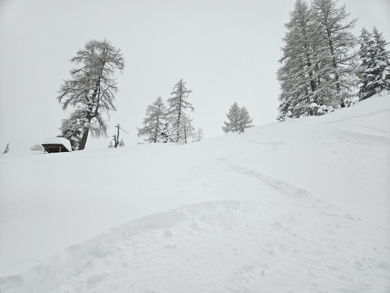 Auf der kleinen Süd, aber nicht im Kessel, sondern neben der Schwarzen an der Mittersteinbahn.