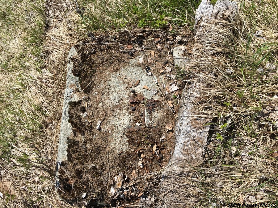 Reste der Bergstation