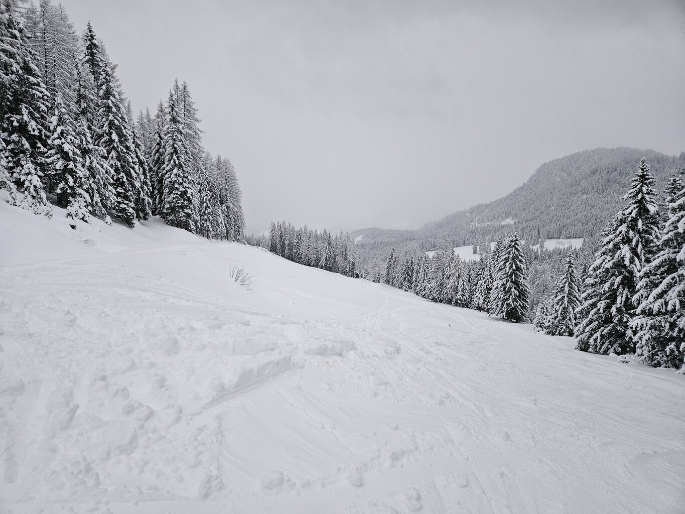 Die Talabfahrt nach Bad Mitterndorf ist größtenteils ein flacher Schiweg. Genau richtig für die letzte Abfahrt.