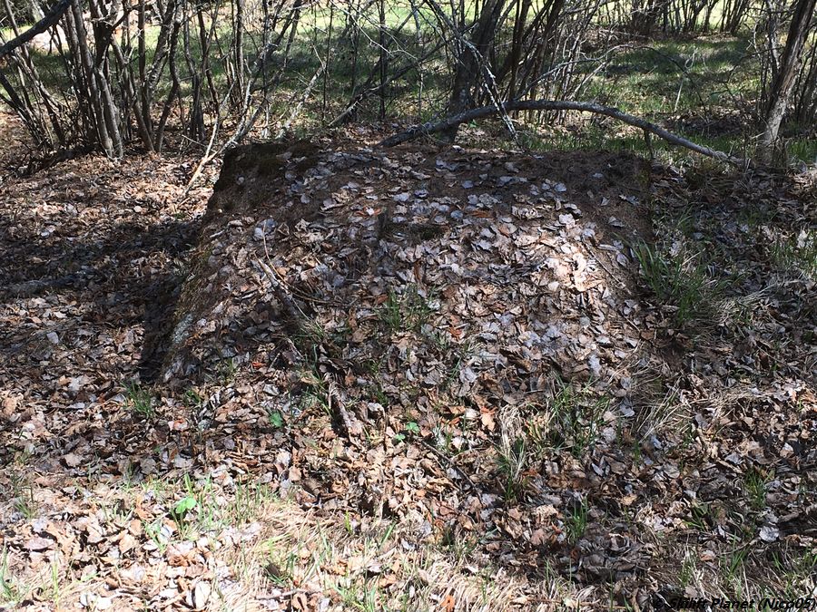 Überreste der alten Bergstation des Skilifts Lotrec 1