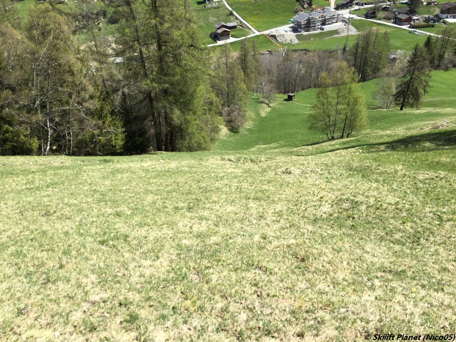 Ehemalige Skilifttrasse und Piste