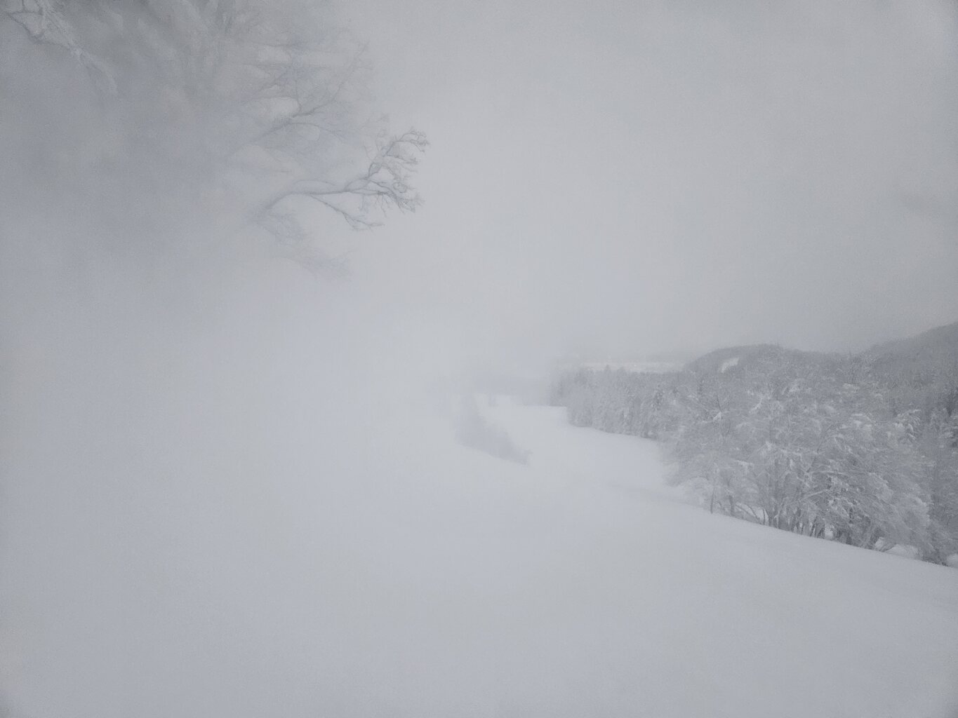 Leider teilweise windig bei schon dämmerten Wetter.