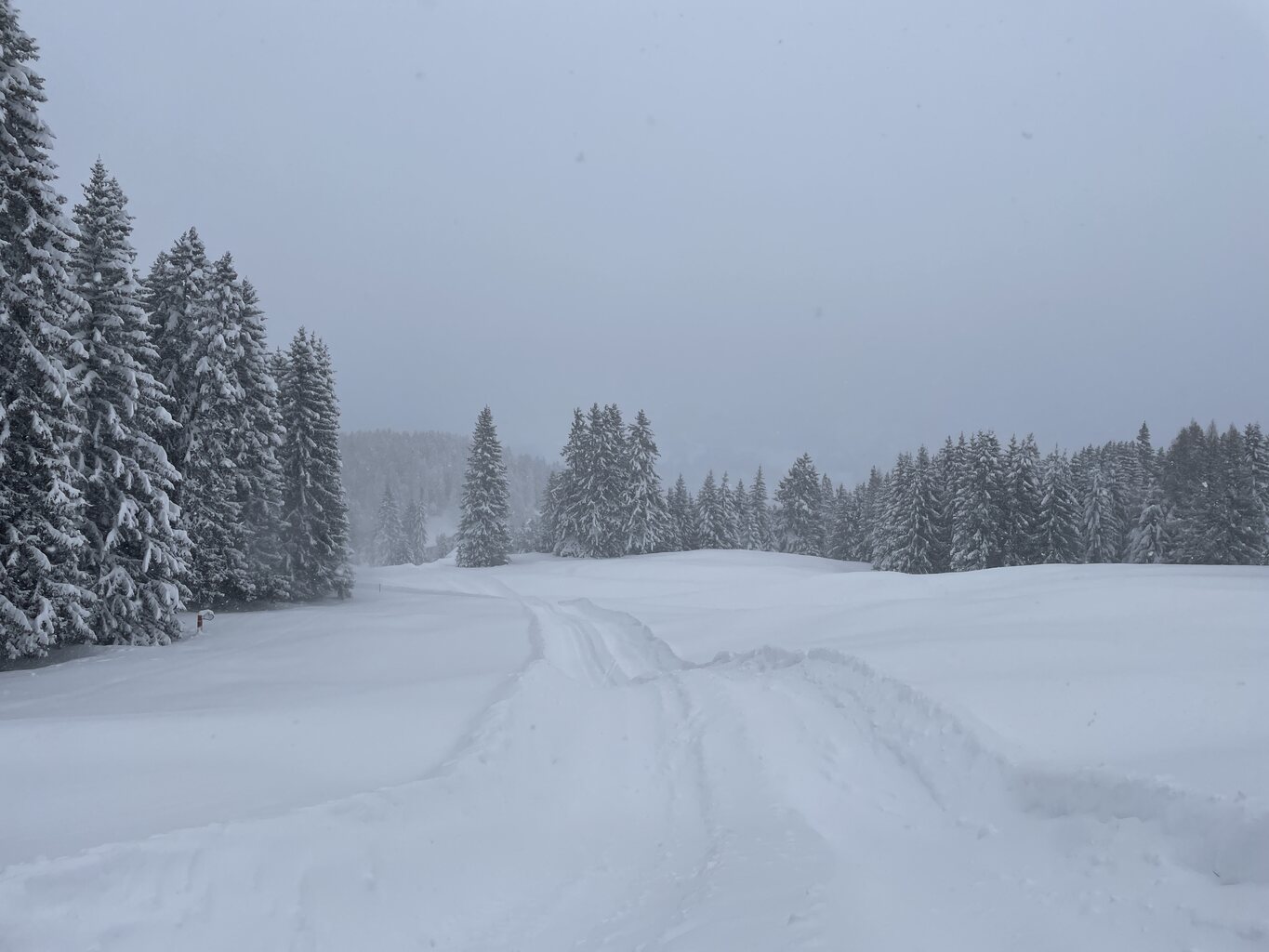 Alle Pisten, die wir heute gesehen haben, wurden schon mit Pistenfhahrzeugen befahren bzw. grundpräpariert, hier zum Beispiel die 45.