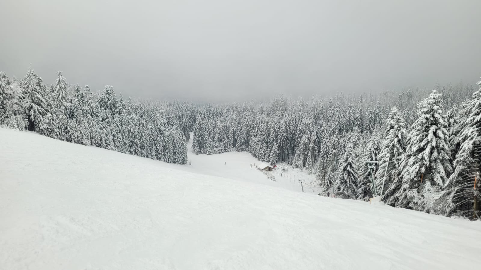Vogelkopf! Der absolute Favorit für mich bisher. Auch das Wetter spielte mit.