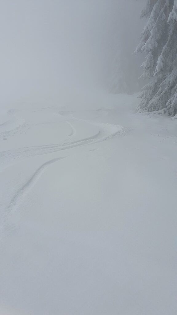 Fast vergessen: am Mehliskopf hatte ich sogar ein Teil unpräparierte Piste gefunden