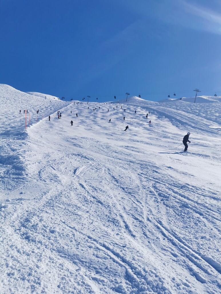 15.00 Uhr Garten = Nullspass