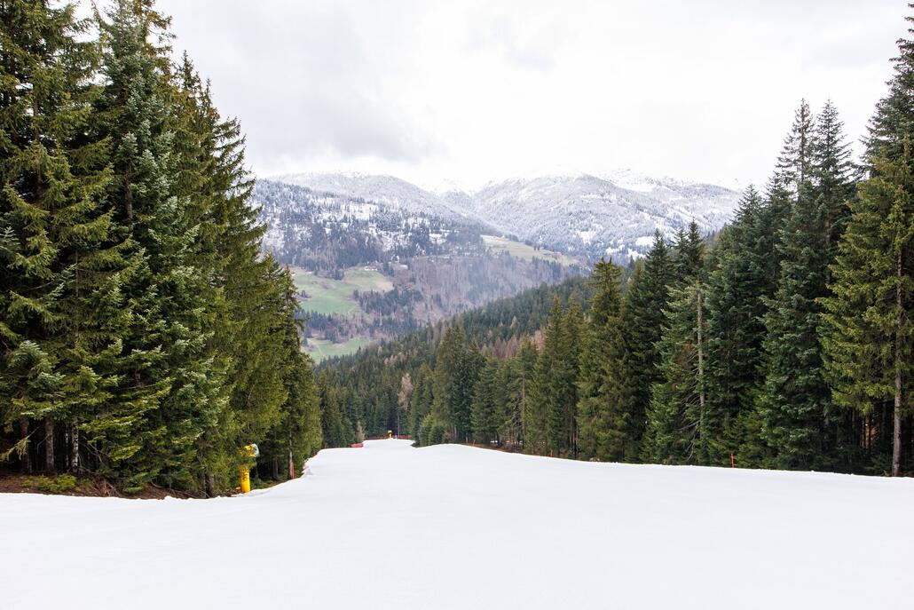 Unten wurde es dann immer "grüner".