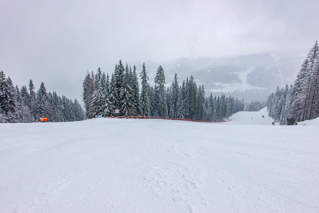 Links geht es nun zur "Holzriese", es wird mehrfach vor Steilheit und Eis gewarnt.