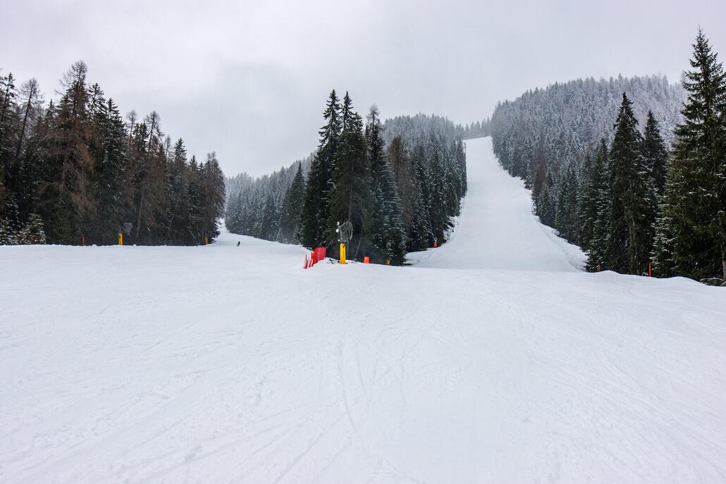 Holzriese von unten.