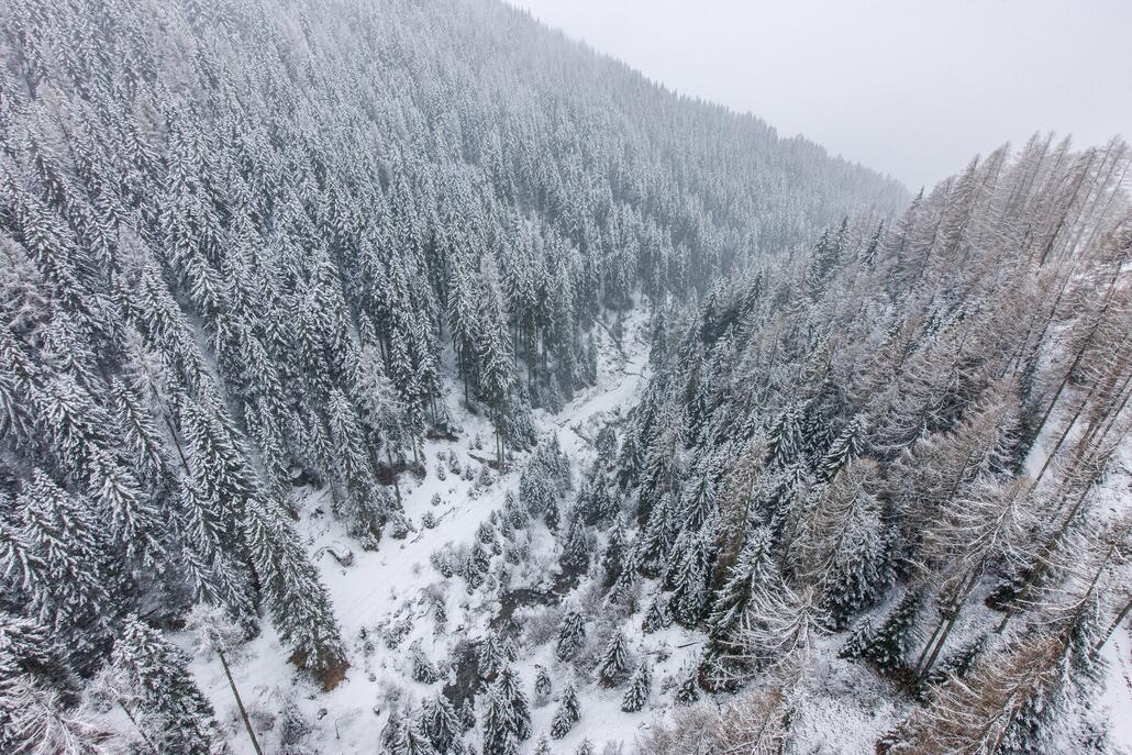 Sexten  041-1_ergebnis.jpg