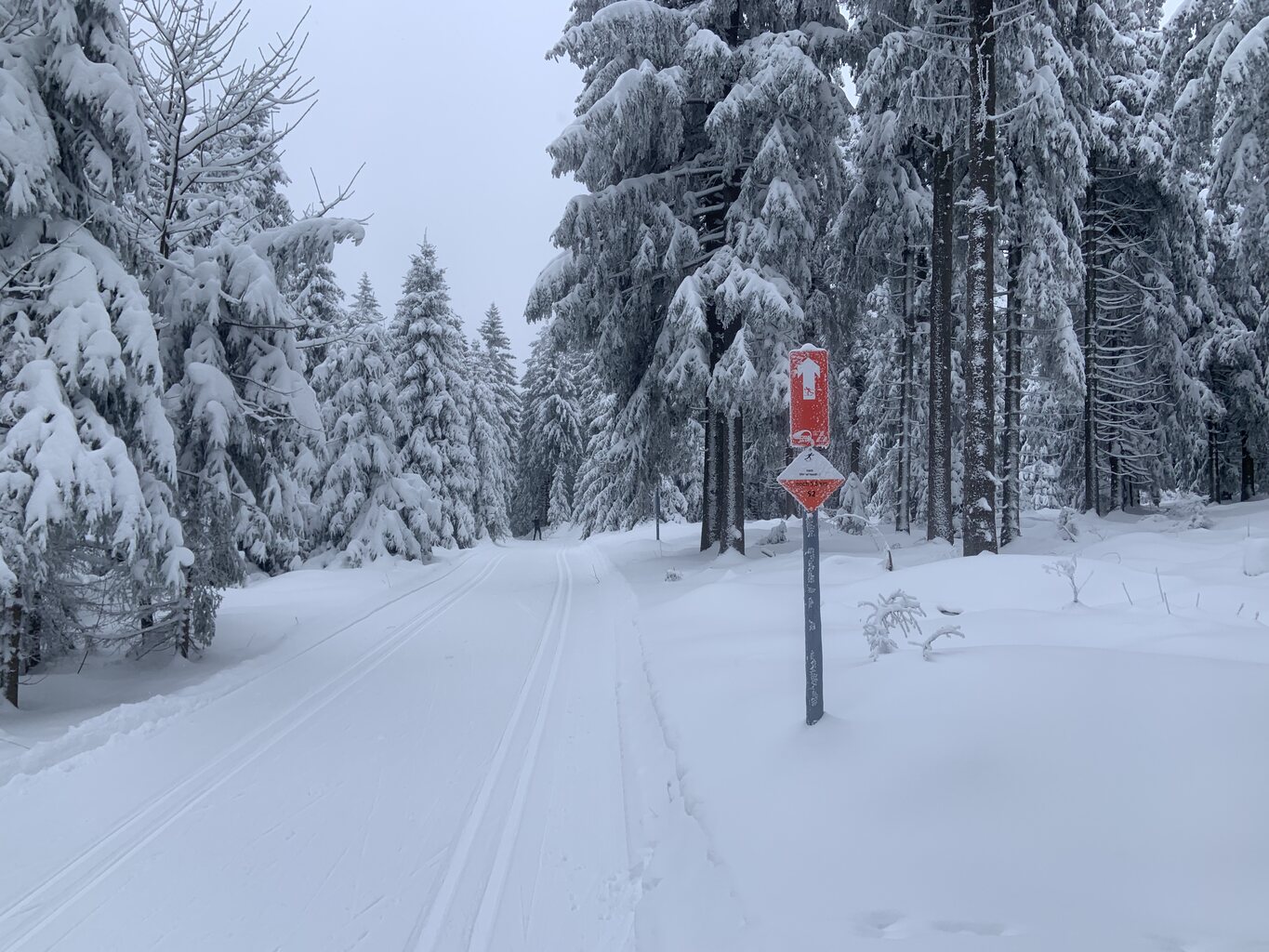 Meist schon sehr gut gespurt.