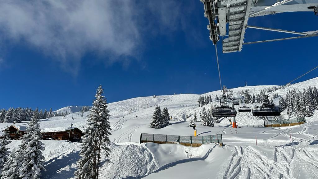 WhatsApp Image 2023-12-03 at 20.22.45.jpeg