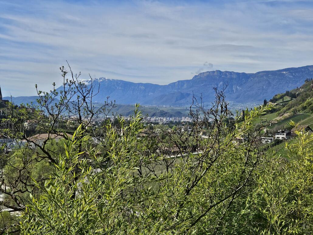 Monte Roen und Penegal