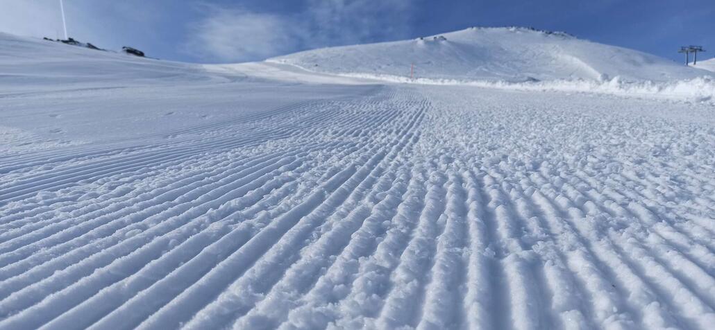 Präparation sehr wechselnd. Ist wohl den Bedingungen geschuldet.
