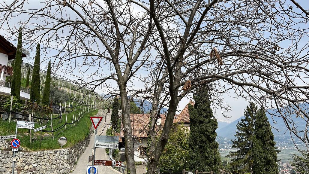 Ab hier wurde es steil