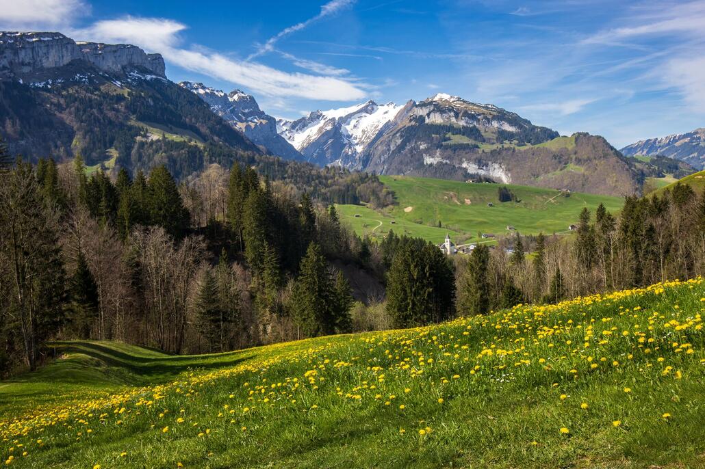 Erster kurzer Stop mit super Blick auf den Säntis.