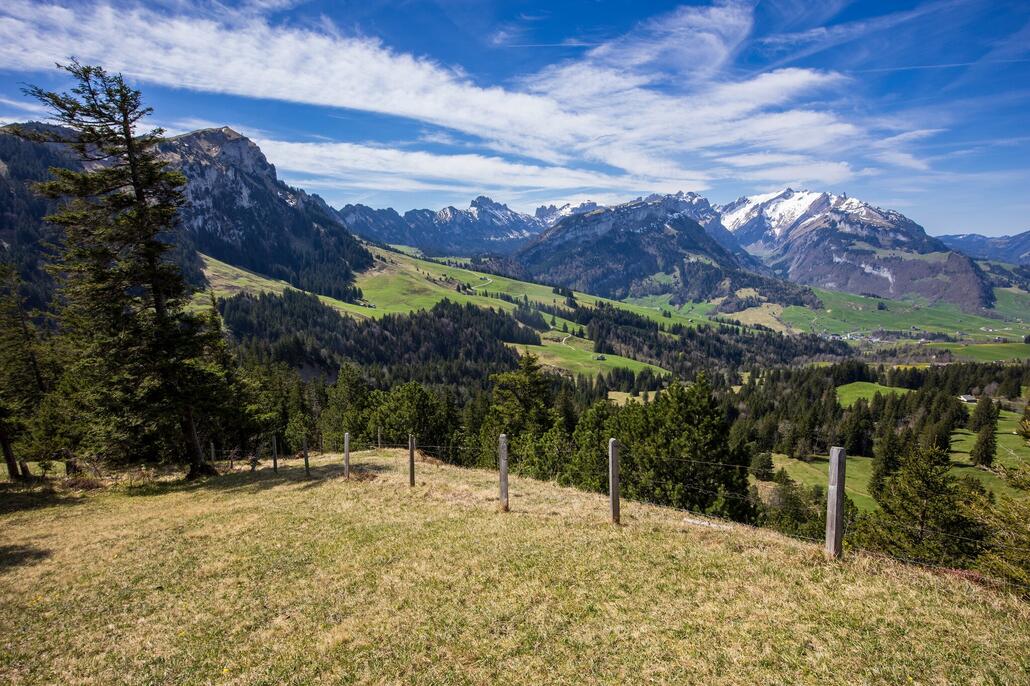 Kurz nach dem Resspass eröffnet sich ein super Blick auf den Alpstein.