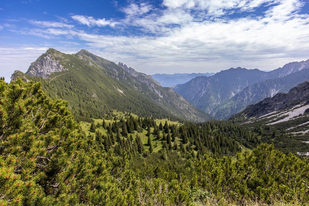 Blick auf den Kuhgrat.