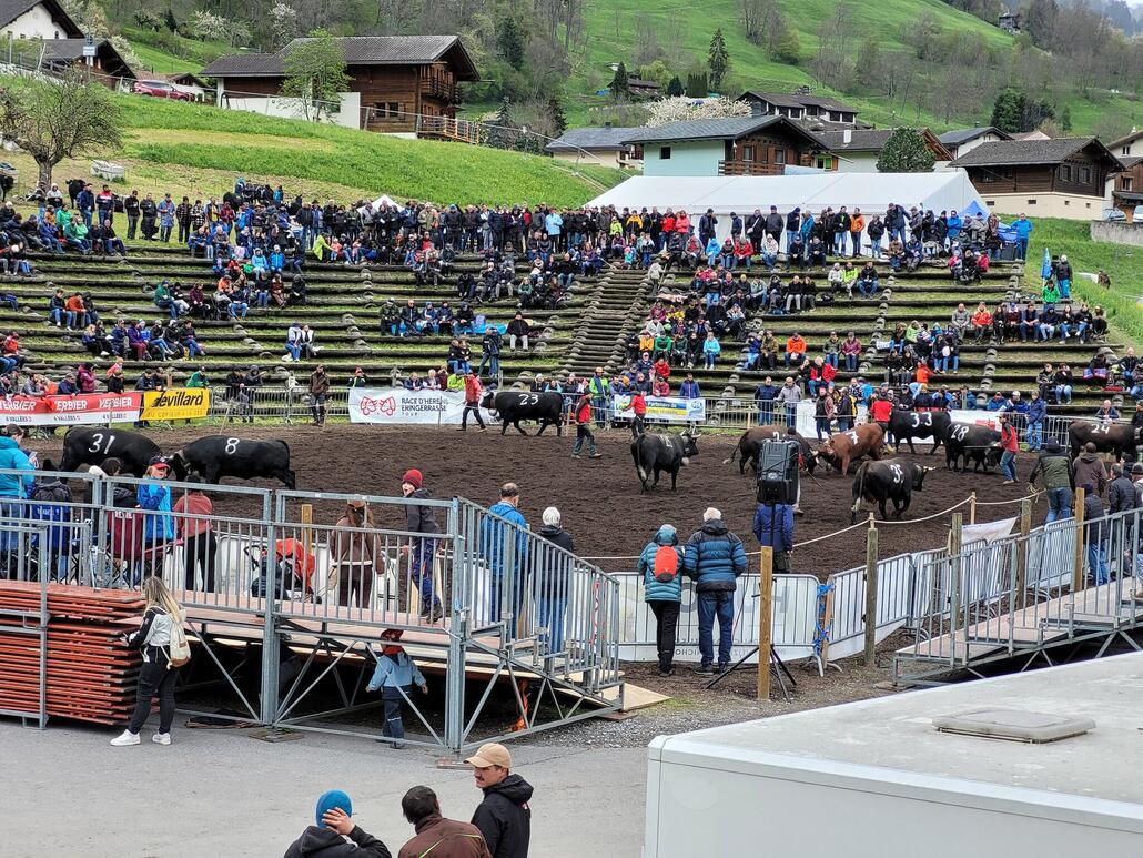 Kurzer Abstecher zum Combat des Reines in Le Châble musste sein :D Sa war nachmittags aber nicht viel los, heute waren die Ränge gefüllter.