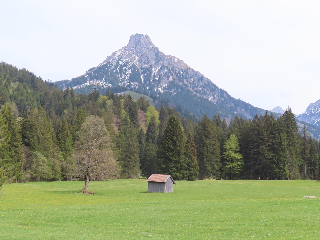 Aggenstein von Westen