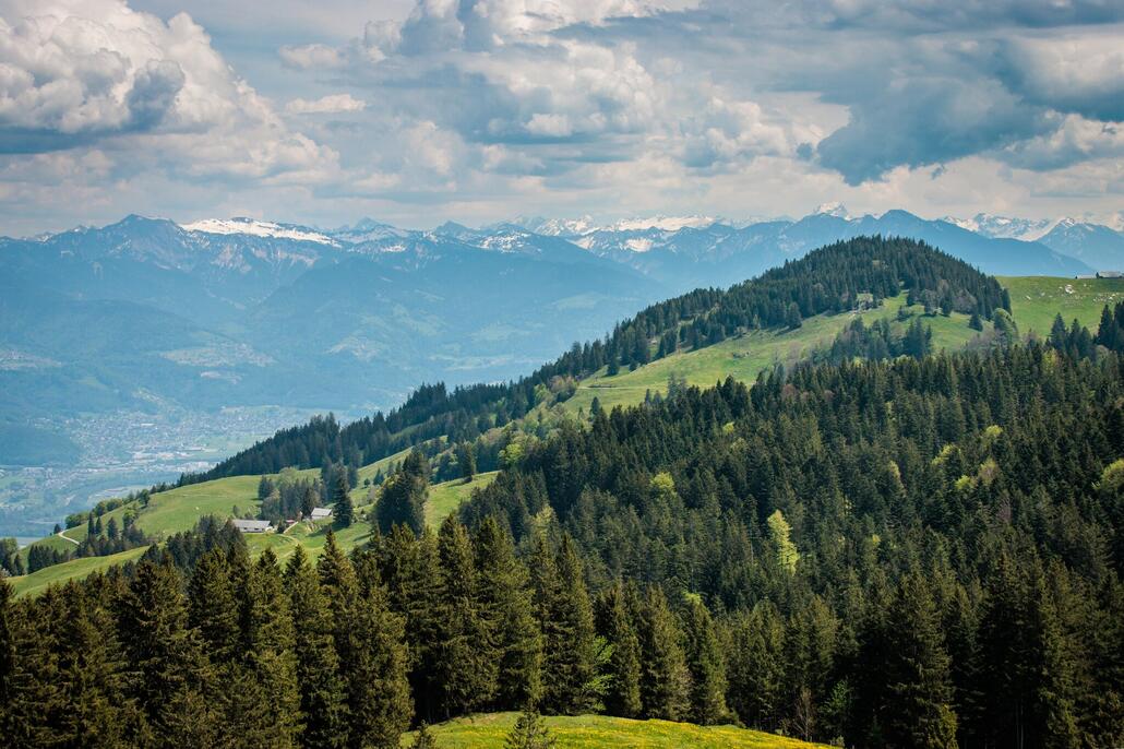 Blick Richtung Rheintal, Bregenzerwald und Allgäuer Alpen.