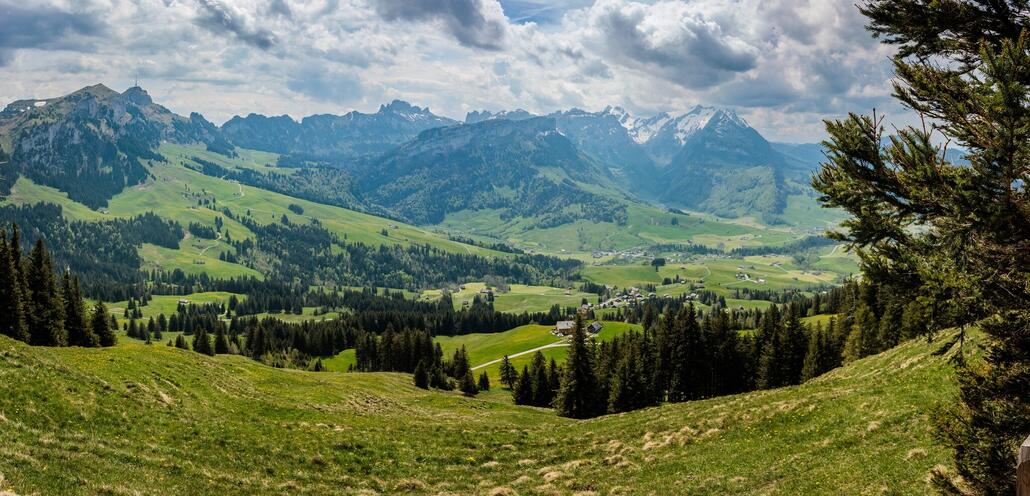 Kurz unterhalb des Gipfels hat man ein super Panorama auf den Alpstein.
