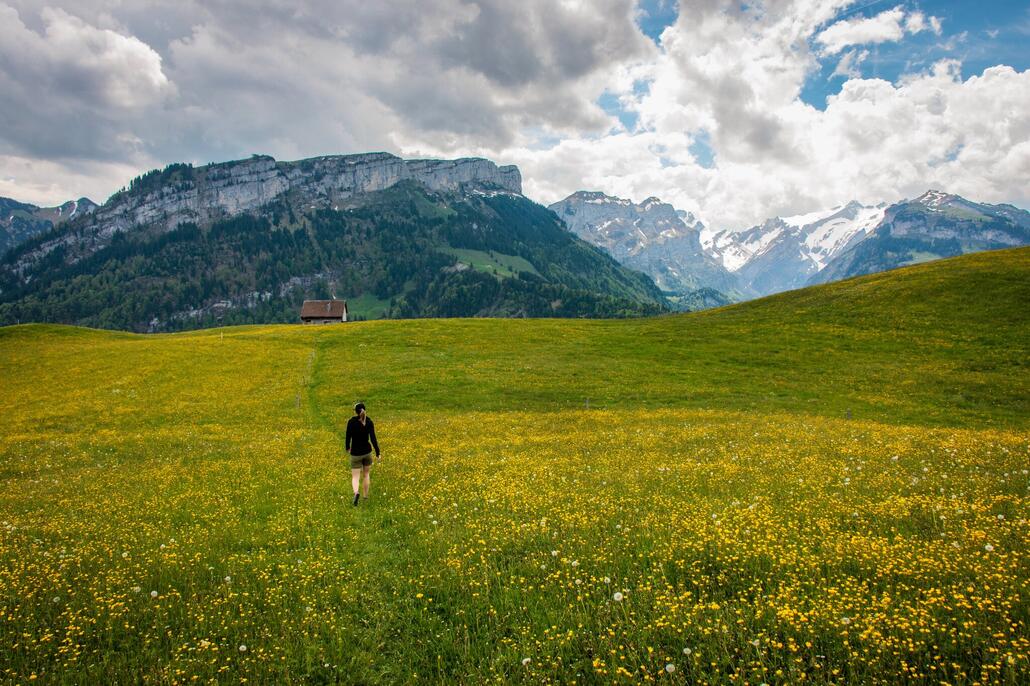 Fänerenspitz 057-1_ergebnis.jpg